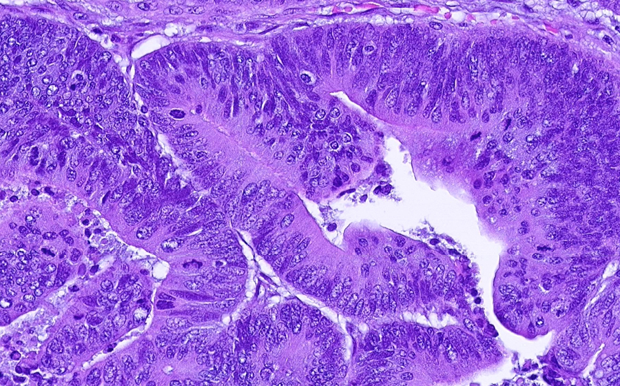 Slide 2 - Image 9