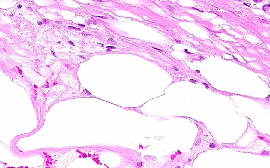 Slide 4 - Image 5