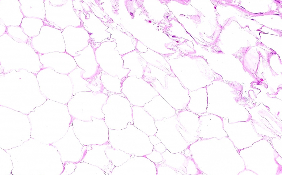 Slide 4 - Image 6