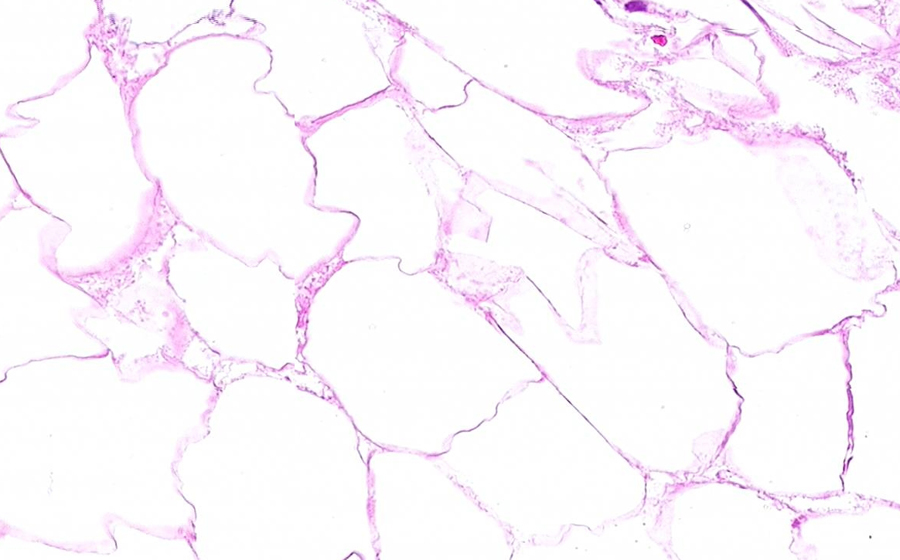 Slide 4 - Image 7