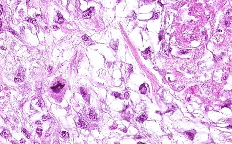Slide 5 - Image 7