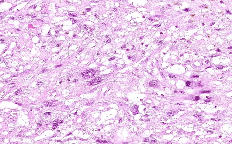 Slide 5 - Image 8