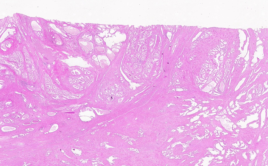 Slide 1 - Image 2