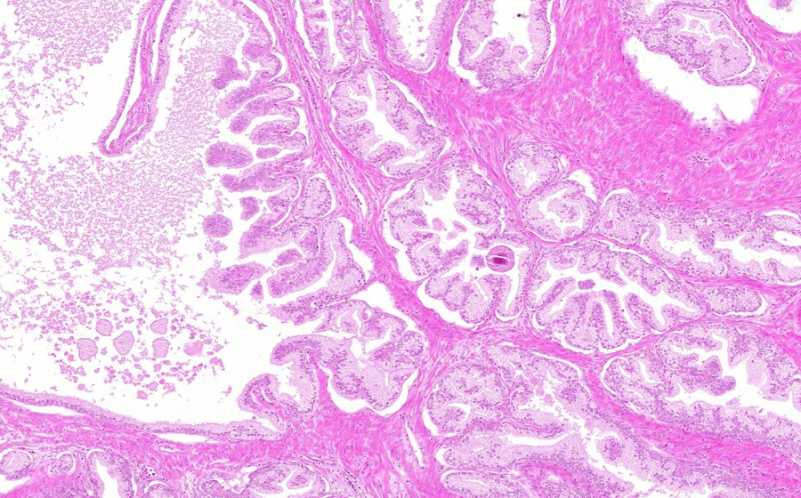 Slide 1 - Image 6