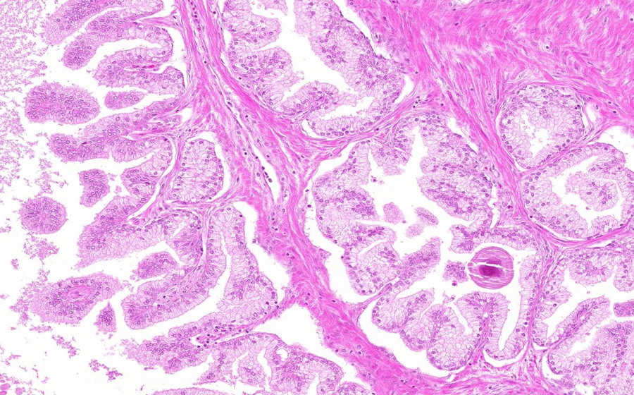Slide 1 - Image 7