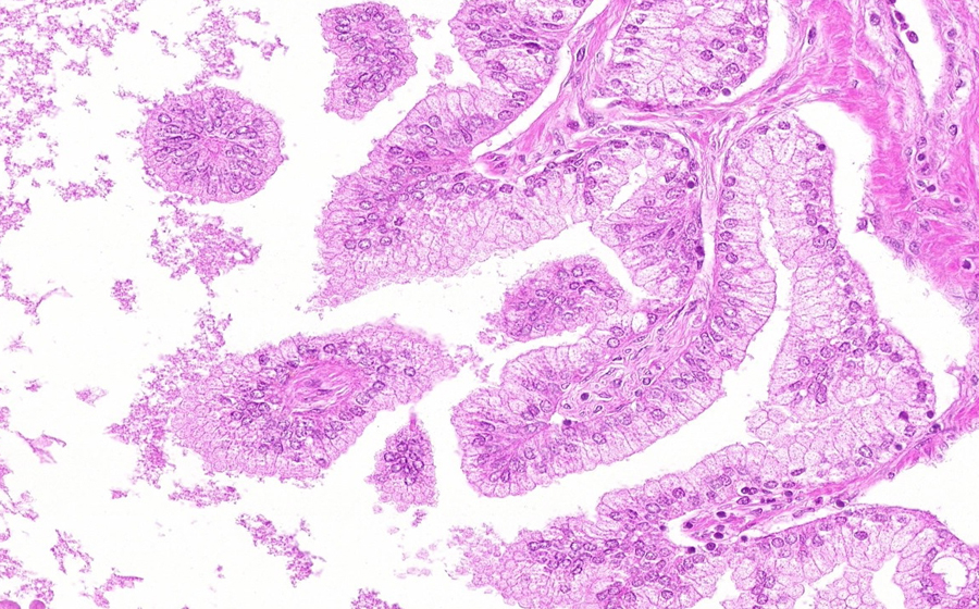 Slide 1 - Image 8