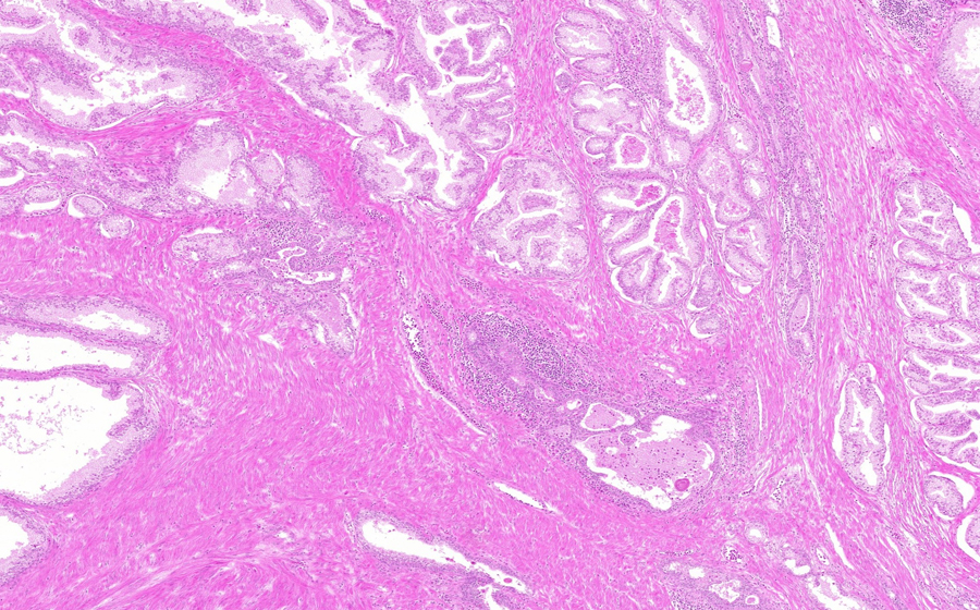 Slide 1 - Image 12