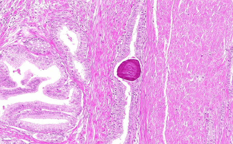 Slide 1 - Image 20