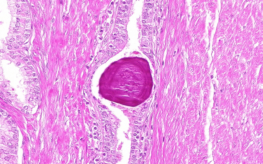 Slide 1 - Image 21